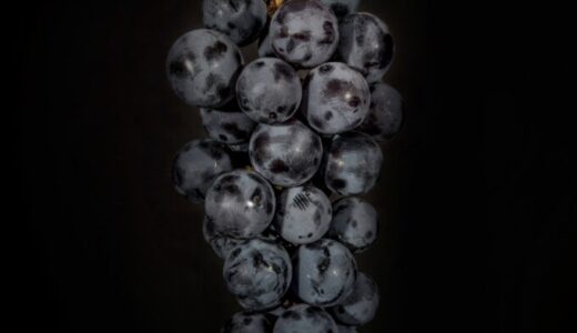 ブドウの着色促進 Promotes grape coloration
